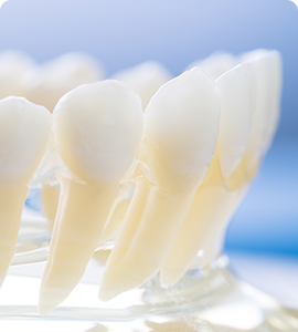 インプラント指導医と連携